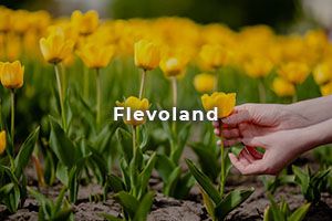 Flevoland